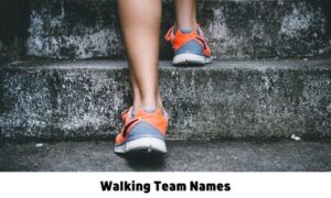 Walking Team Names