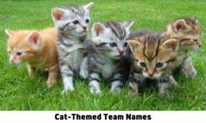 Cat-Themed Team Names