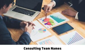 Consulting Team Names