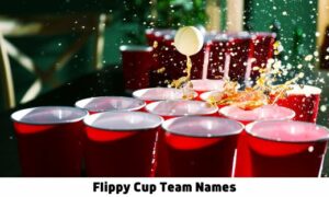 Flippy Cup Team Names