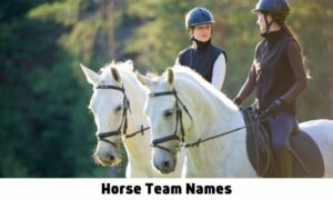 Horse Team Names