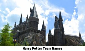 Harry Potter Team Names