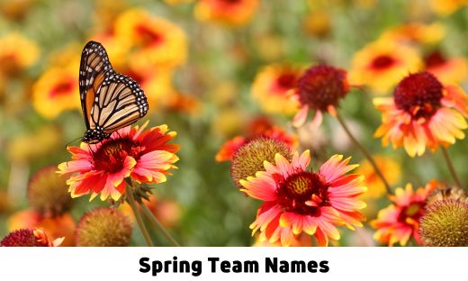 Spring Team Names