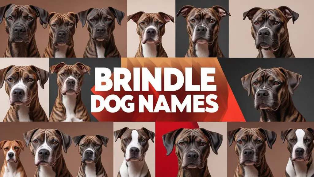 Brindle Dog Names