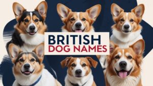 British Dog Names