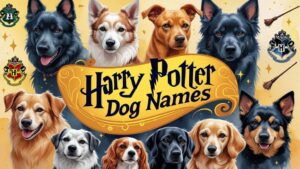 Harry Potter Dog Names