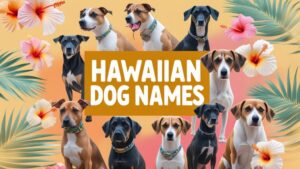 Hawaiian Dog Names