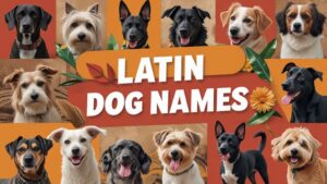 Latin Dog Names