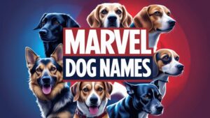 Marvel Dog Names