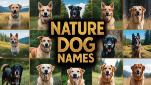 Nature Dog Names