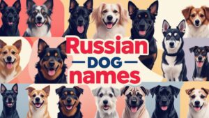 Russian Dog Names