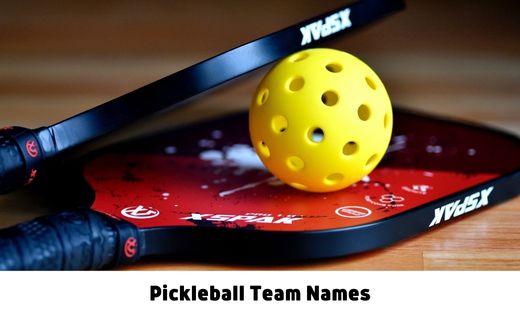 75 Pickleball Team Names that are Fun, Clever and Meaningful