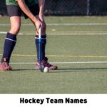 Hockey Team Names