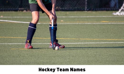 550-hockey-team-names-ideas-to-pick-from