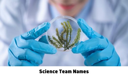 science-team-names-480-best-names-for-science-team-and-group