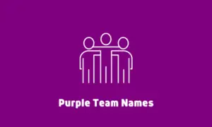 Purple Team Names