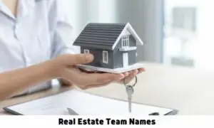 Real Estate Team Names