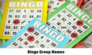 Bingo Group Names