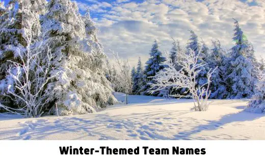 450-winter-themed-team-names-to-inspire-your-group