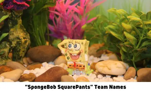 “SpongeBob SquarePants” Team Names