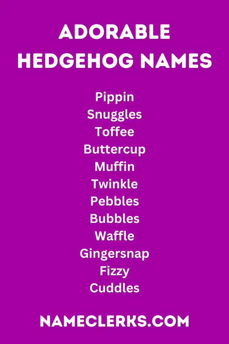 Adorable Hedgehog Names