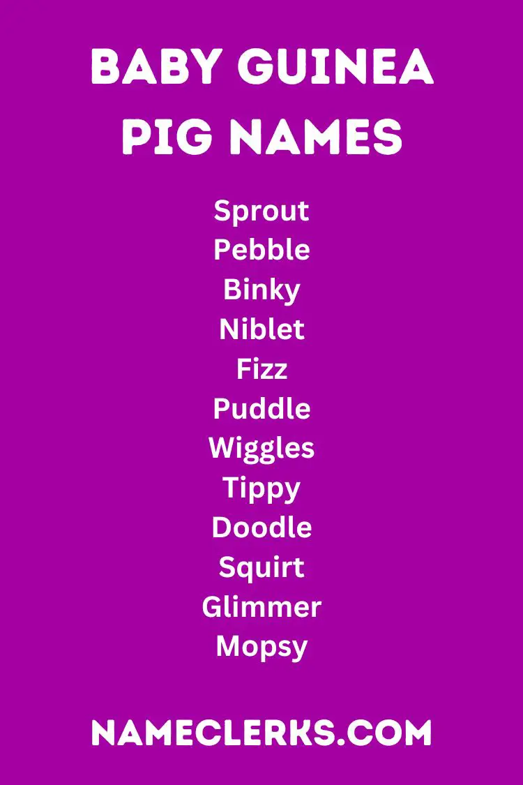 Baby Guinea Pig Names