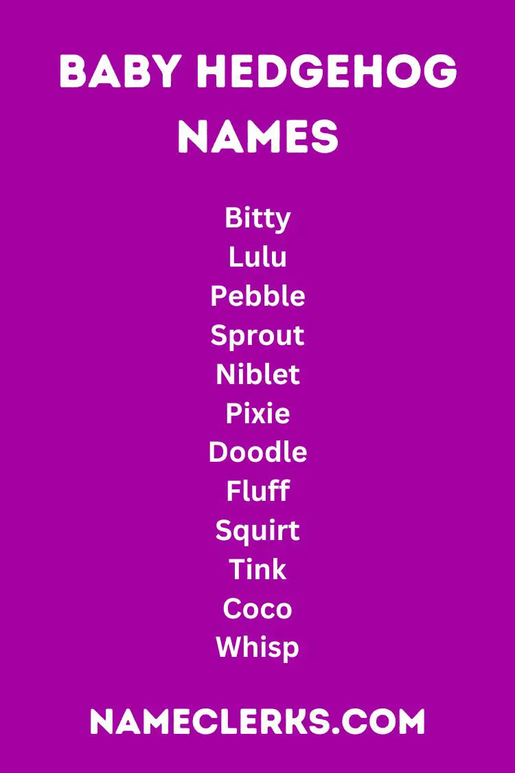 Baby Hedgehog Names