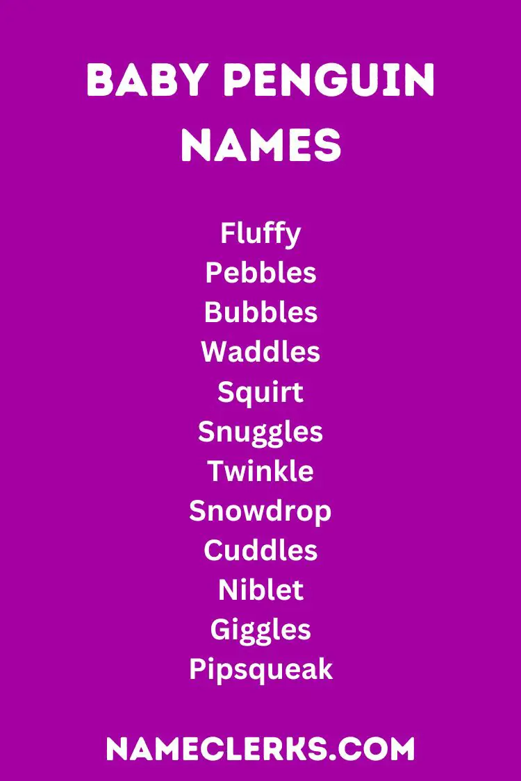 Baby Penguin Names