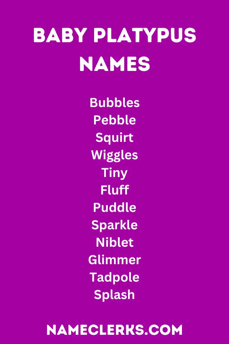Baby Platypus Names
