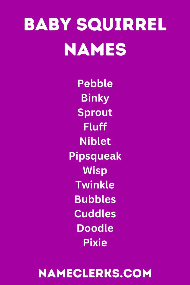 Baby Squirrel Names