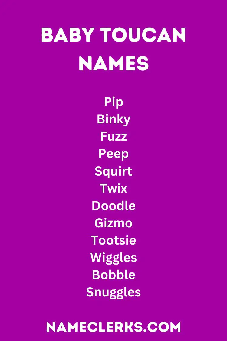 Baby Toucan Names