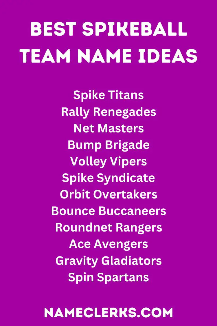 Best Spikeball Team Name Ideas