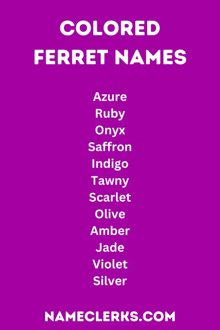 Colored Ferret Names