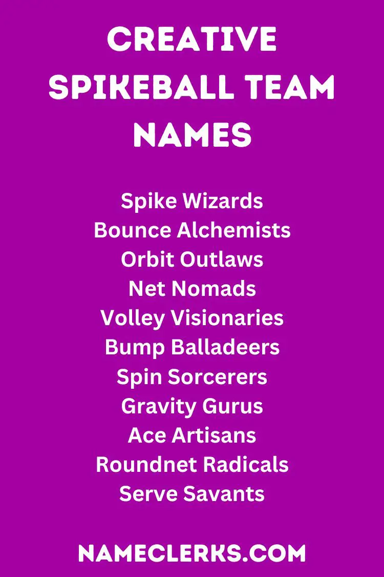 Creative Spikeball Team Names