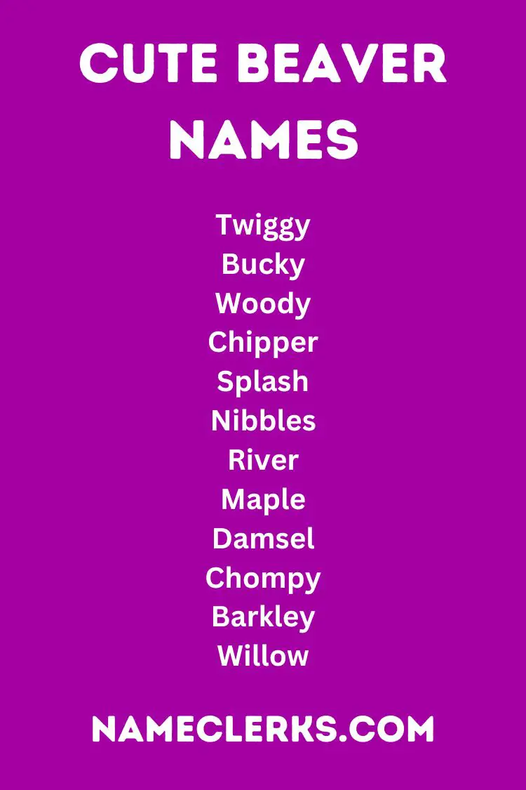 Cute Beaver Names