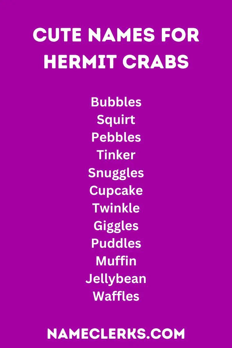 Cute Names for Hermit Crabs