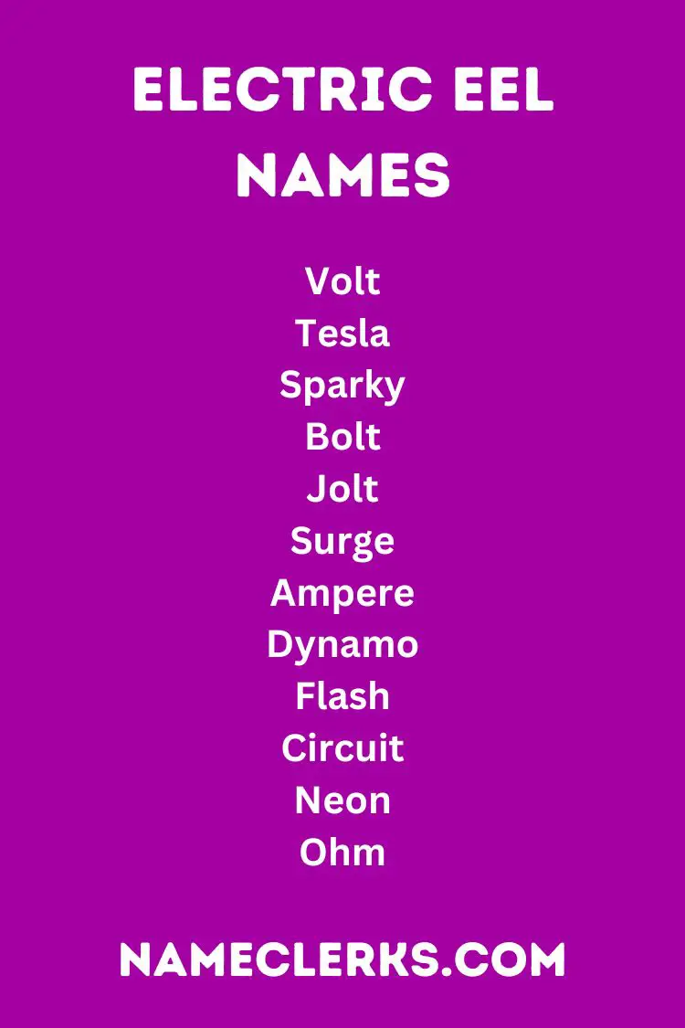 Electric Eel Names