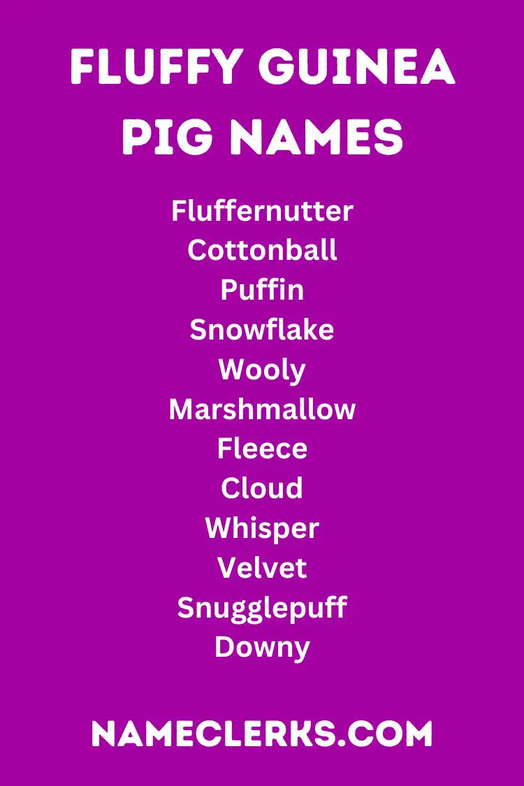 Fluffy Guinea Pig Names