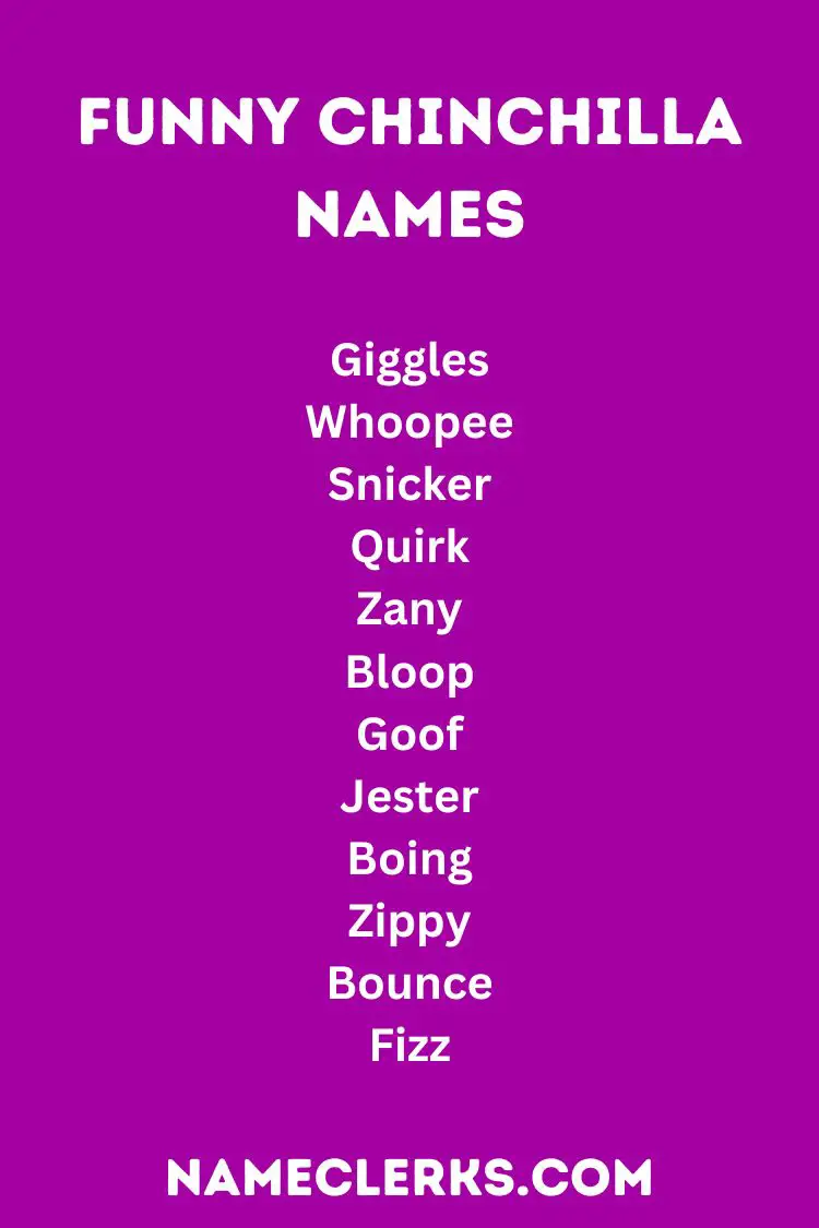 Funny Chinchilla Names