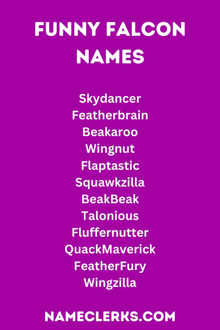 Funny Falcon Names