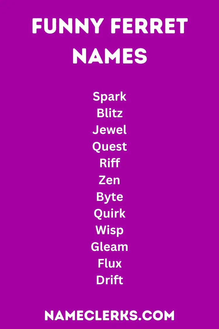 Funny Ferret Names