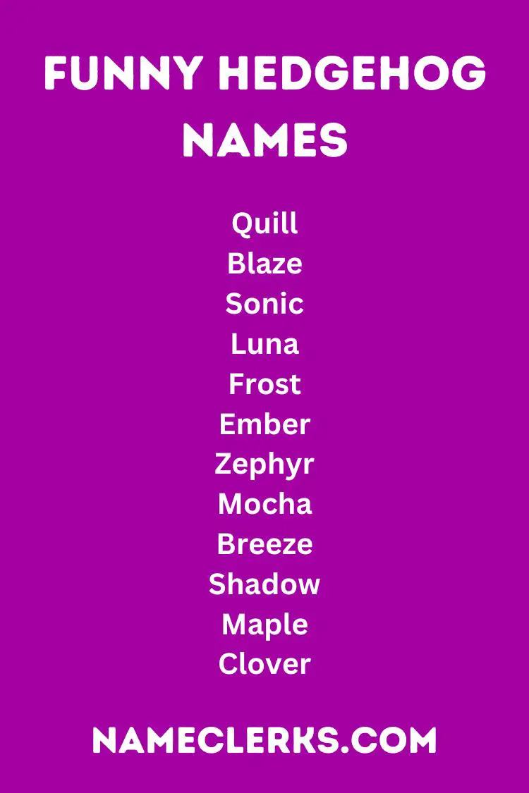 Funny Hedgehog Names