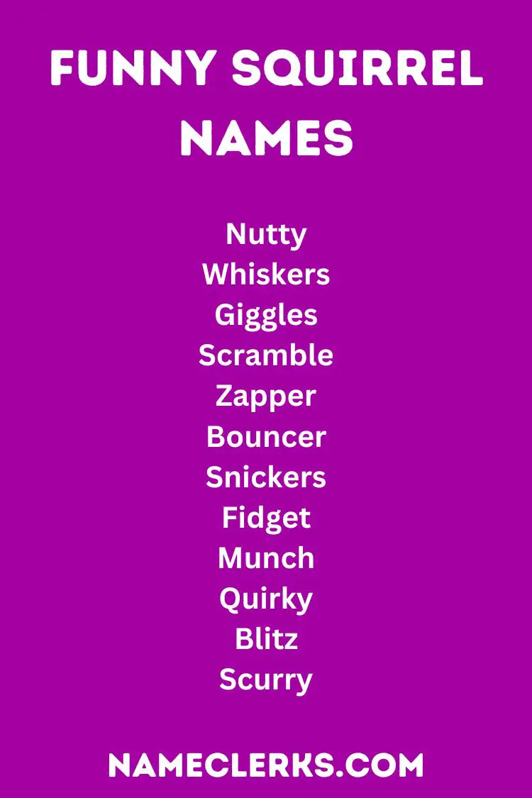 Funny Squirrel Names