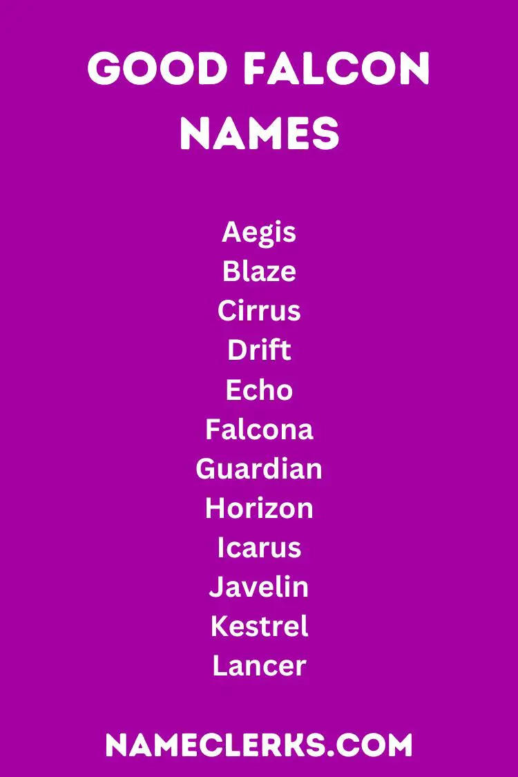 Good Falcon Names