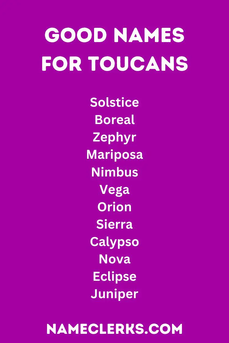 Good Names For Toucans