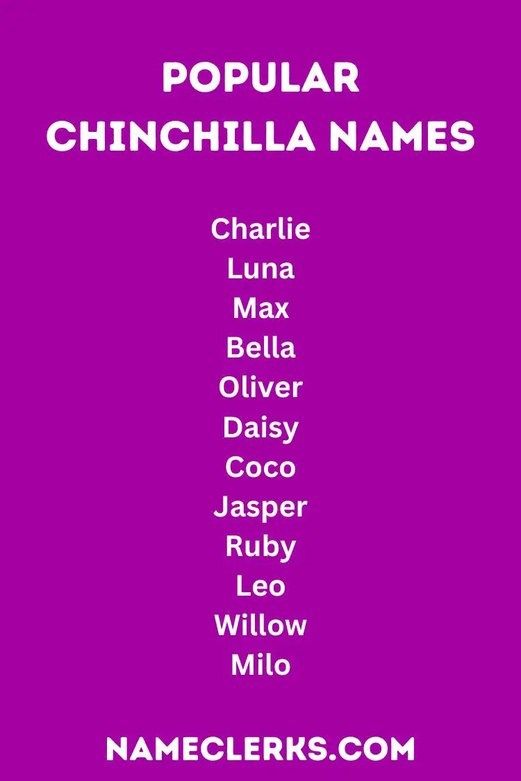 Popular Chinchilla Names