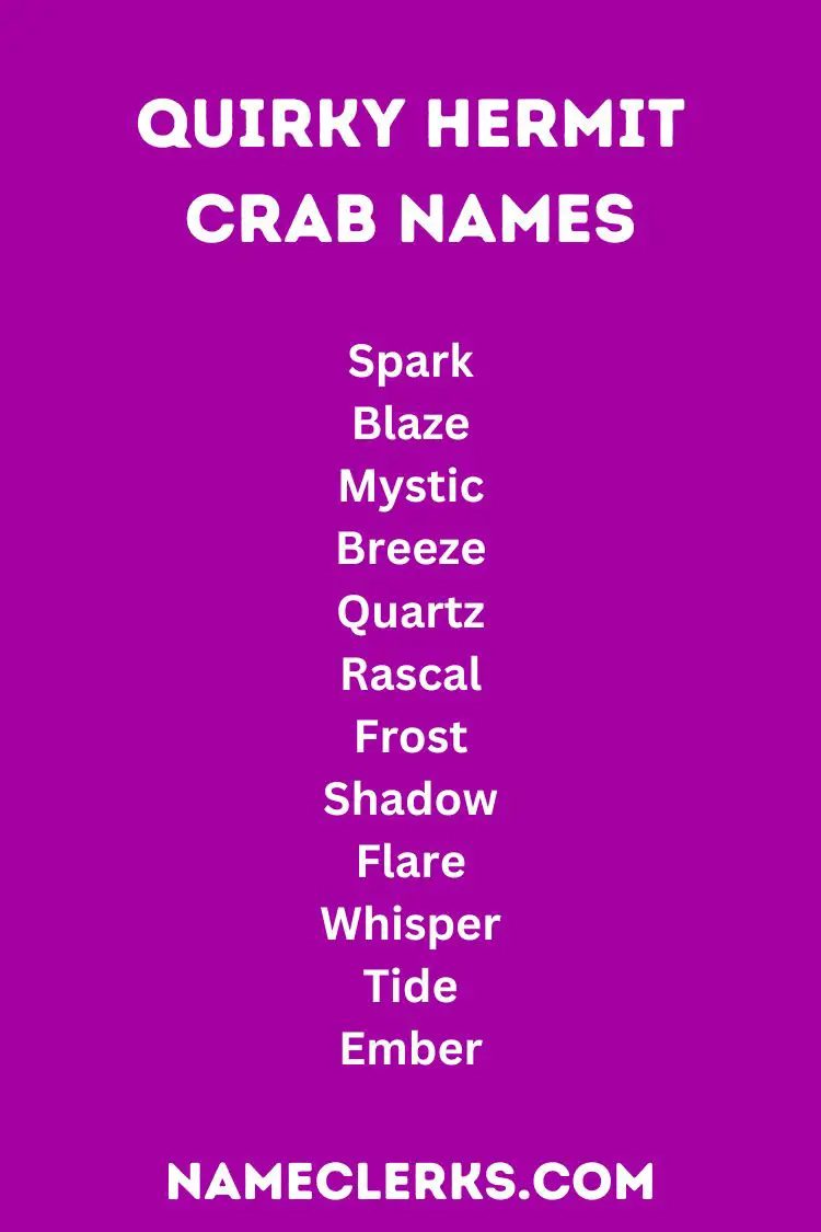 Quirky Hermit Crab Names