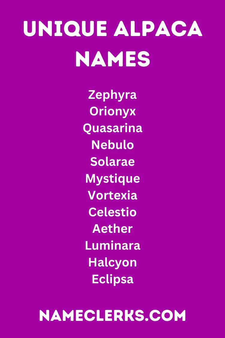 Unique Alpaca Names