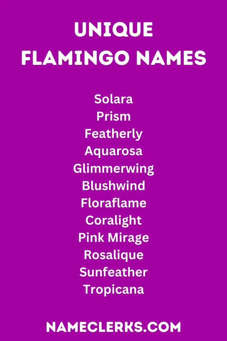 Unique Flamingo Names