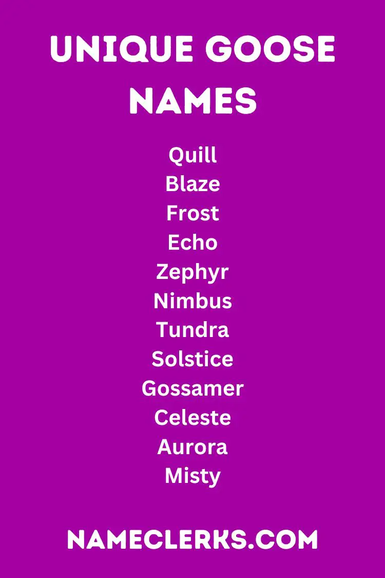 Unique Goose Names